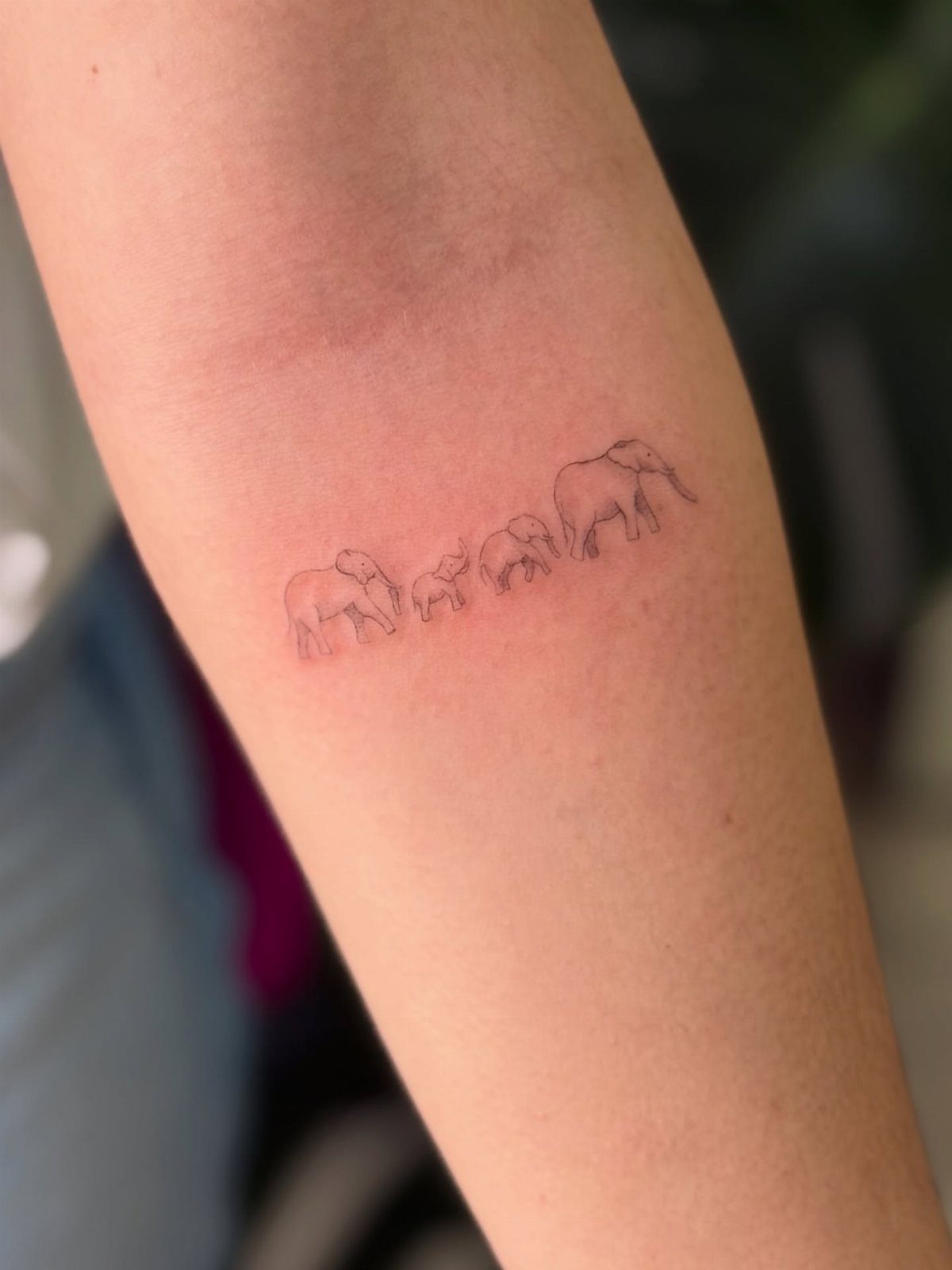 A fine line tattoo of four elephants walking in a row on a person's arm.