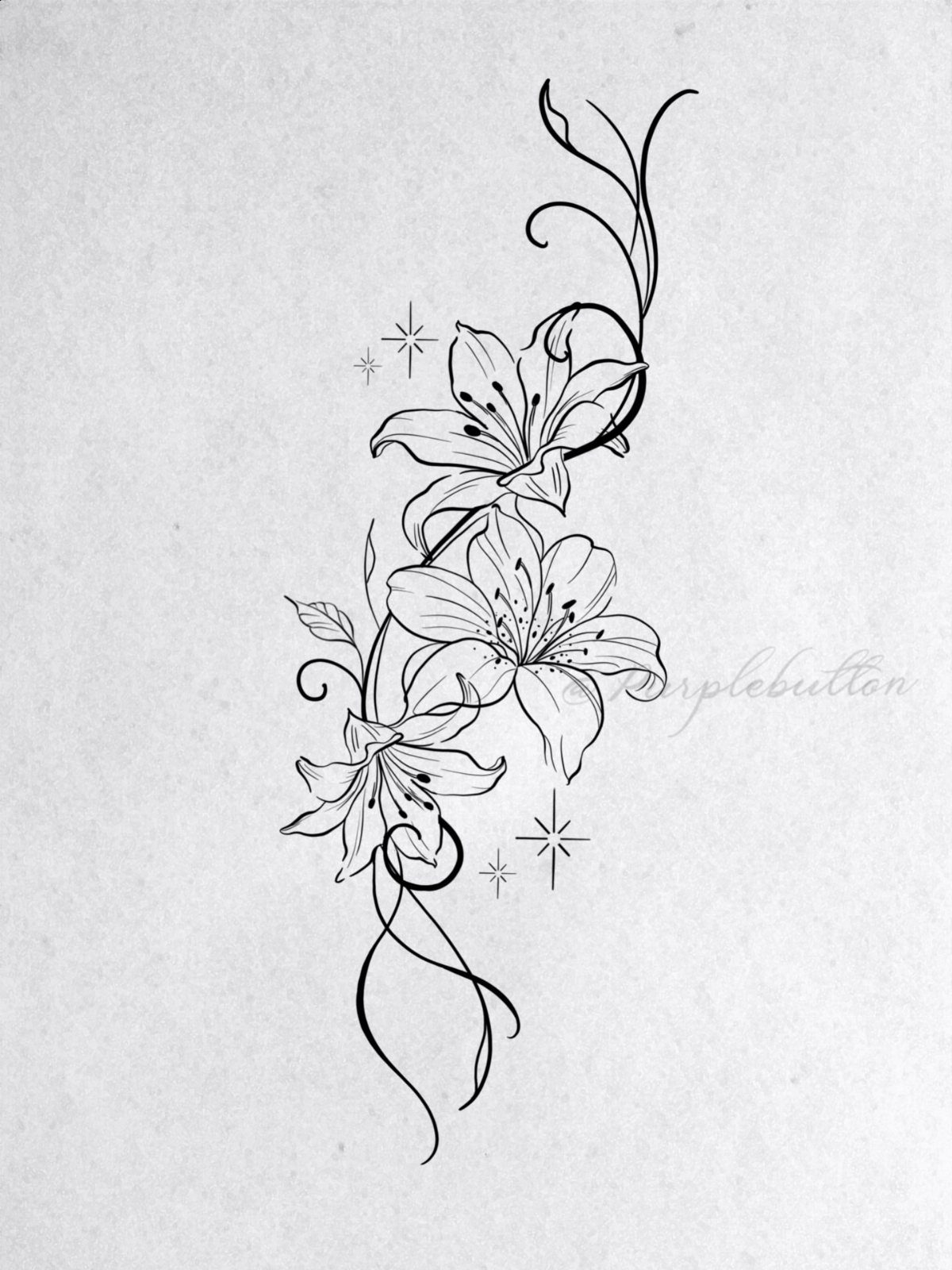 Black ink line drawing of lily flowers with swirling vines and stars on textured paper.