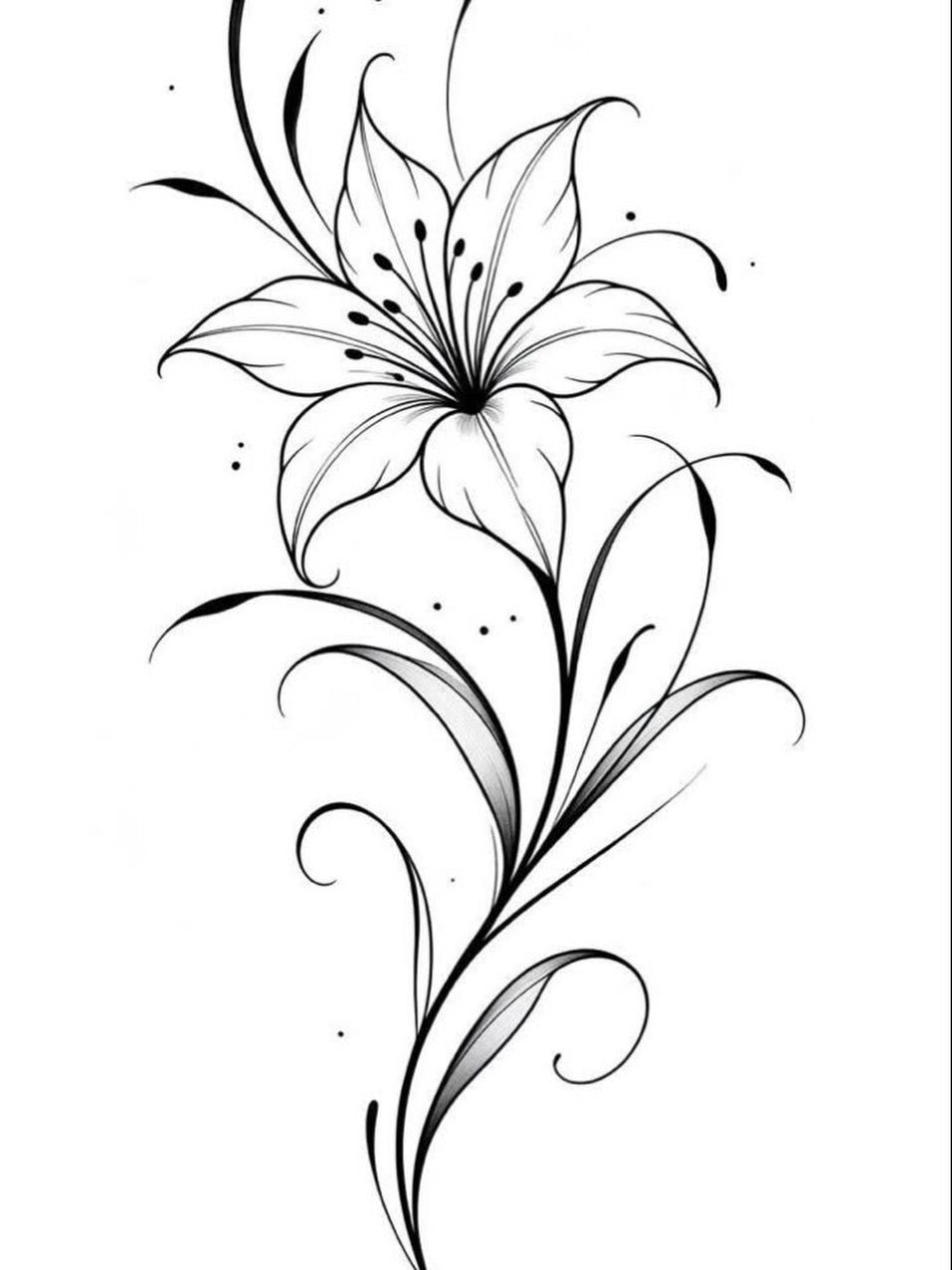 Black and white line art drawing of an elegant lily flower with flowing stems and leaves.